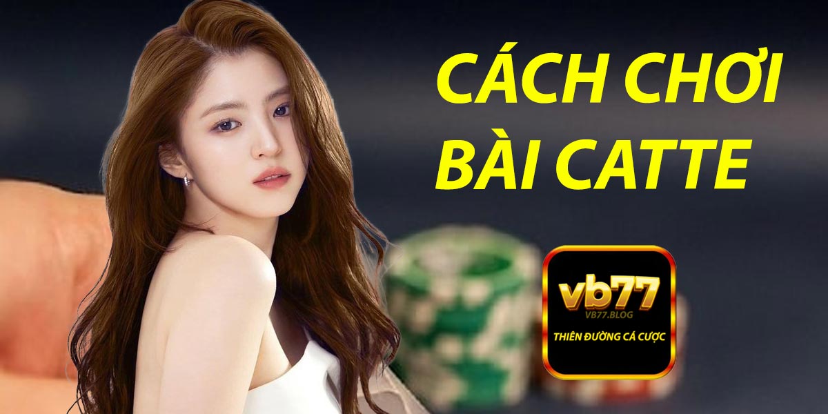 Cách Chơi Bài Catte: Hướng Dẫn Chi Tiết Từ A Đến Z image-1731639225010