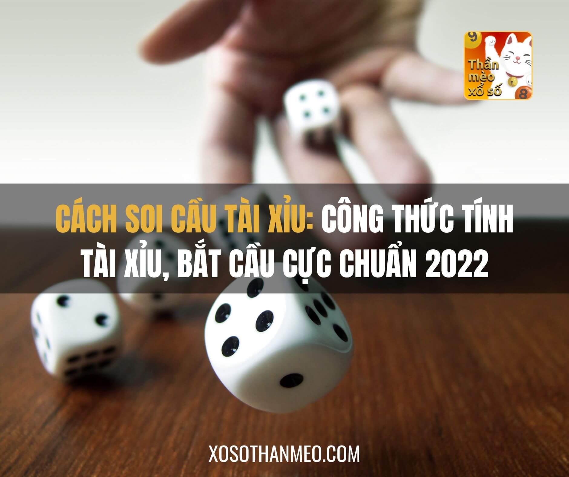 Cách Chơi Tài Xỉu: Hướng Dẫn Chi Tiết Cho Người Mới Bắt Đầu image-1731638996400