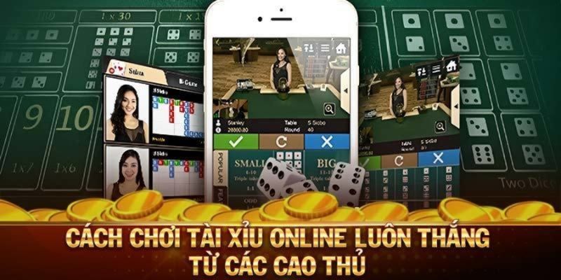 Cách Kiếm Tiền Từ Game Tài Xỉu: Bí Mật Từ Cao Thủ image-1731639196043