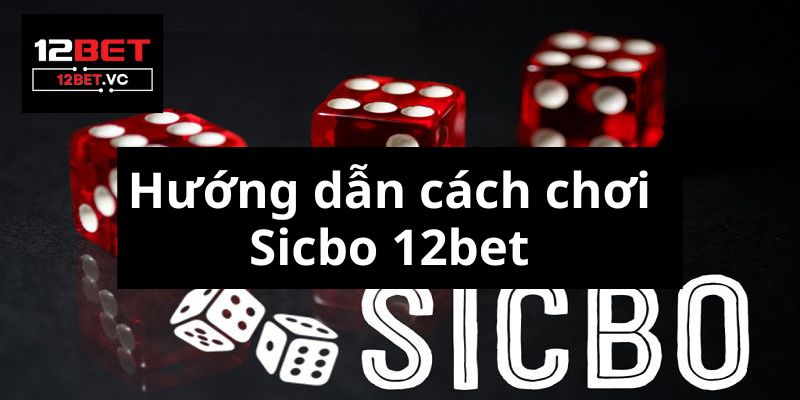 Sicbo Là Gì? Khám Phá Thế Giới Đầy Màu Sắc Của Trò Chơi Xúc Xắc image-1731638029945