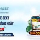 SHBET – Nhà cái cá cược uy tín, giao dịch nhanh chóng